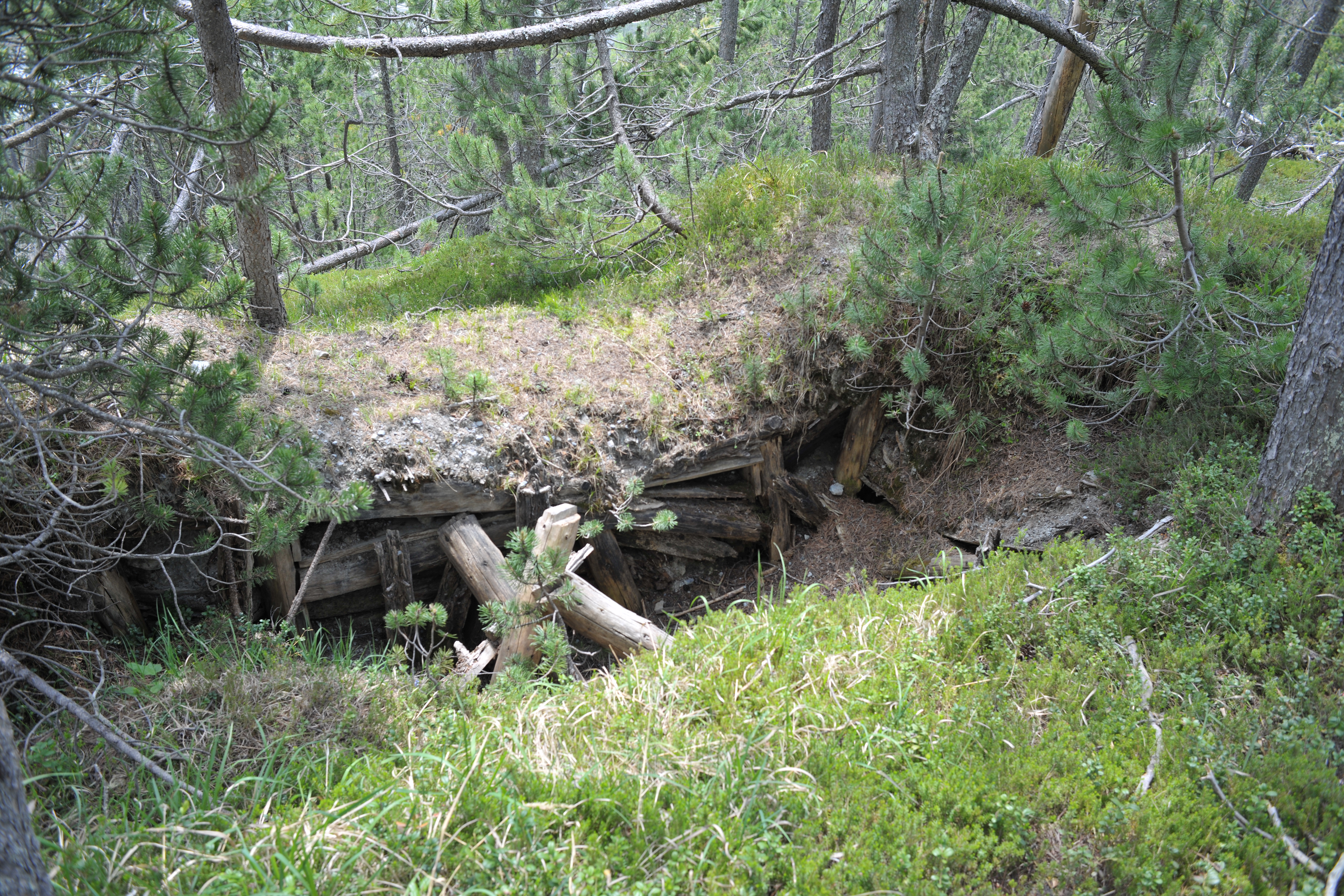 Image of a trench